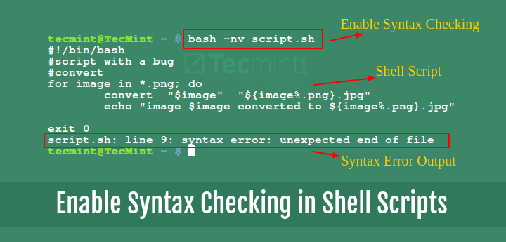 Enable Syntax Checking in Shell Scripts