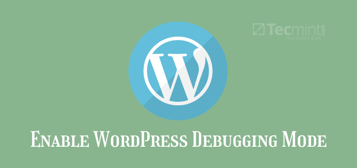 Enable WordPress Debugging Mode