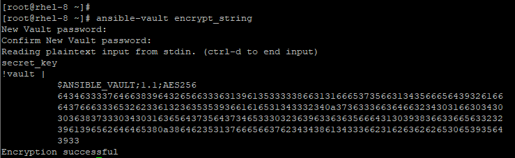 Encrypted Specific Variables in Ansible