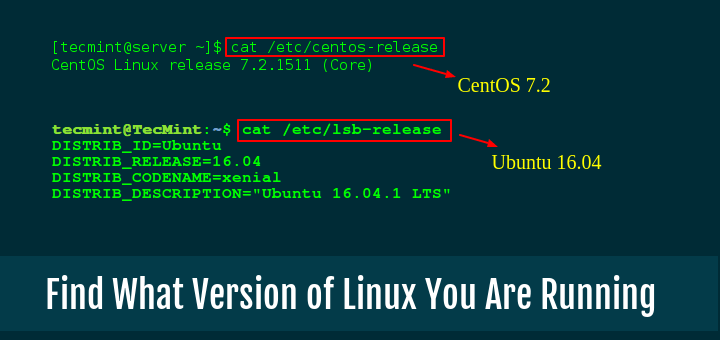 Find Out Linux Kernel Version and Distribution Name