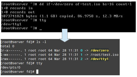 Find Linux Process Information