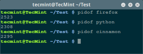 Find Linux Process PID