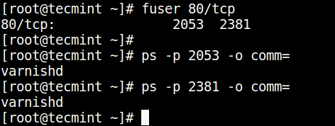 Find Port and Process ID in Linux