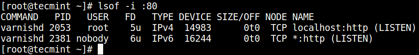 Find Port Using lsof Command