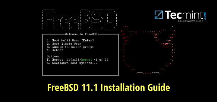 FreeBSD Installation Guide