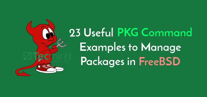 FreeBSD PKG Command Examples