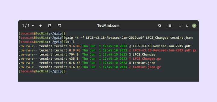 Gzip Command in Linux