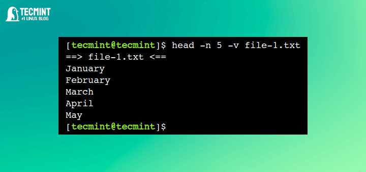head Command Examples