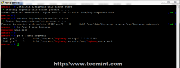 Start and Verify Fcgiwrap