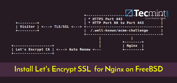 Install Lets Encrypt for Nginx on FreeBSD