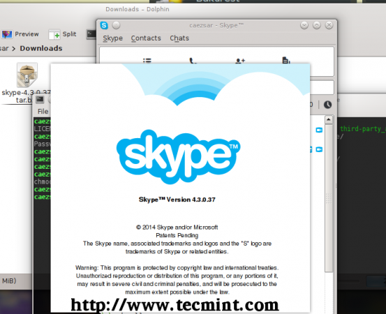 About Skype 4.3 Version