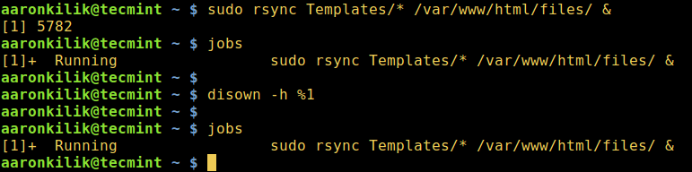 Keep Linux Process Running After Closing Terminal