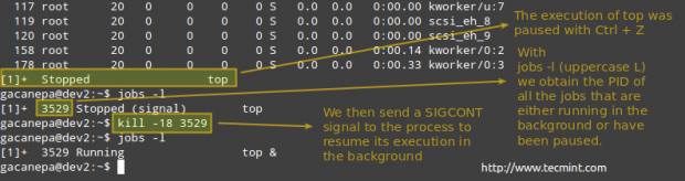 Terminate Process in Linux