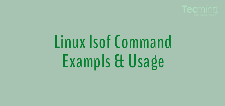 Linux lsof Command Examples