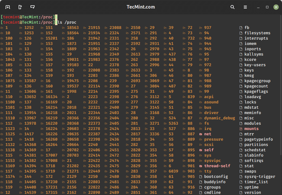 View Linux /proc File System