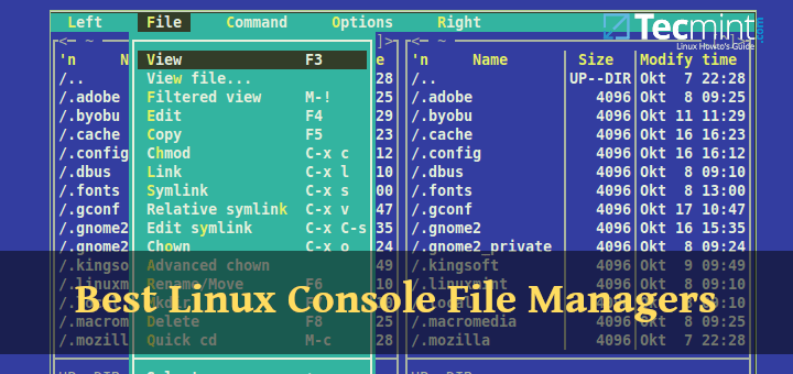 Linux Terminal File Managers