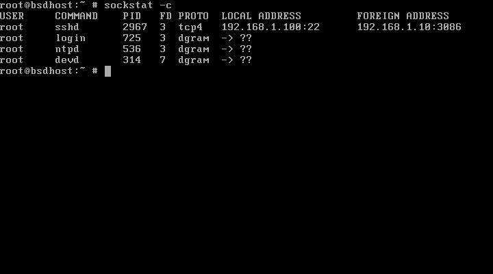 List Connected Sockets on FreeBSD