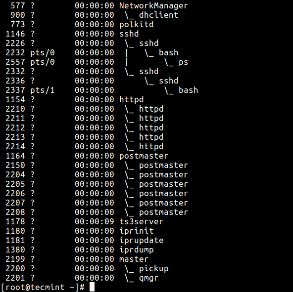 List Process Tree