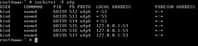 List UDP Opened Ports