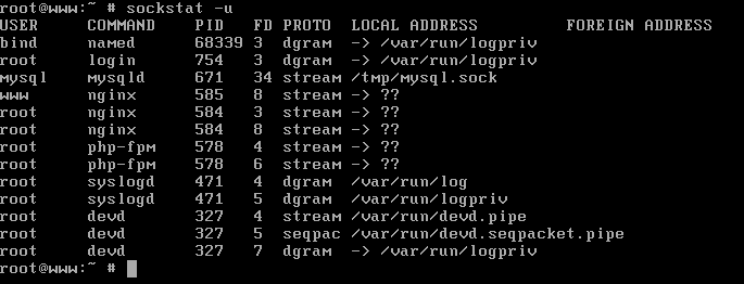 List Unix Sockets