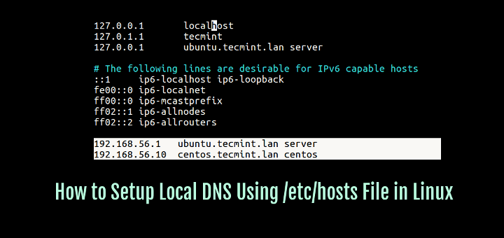 Setup Local DNS Using /etc/hosts File in Linux