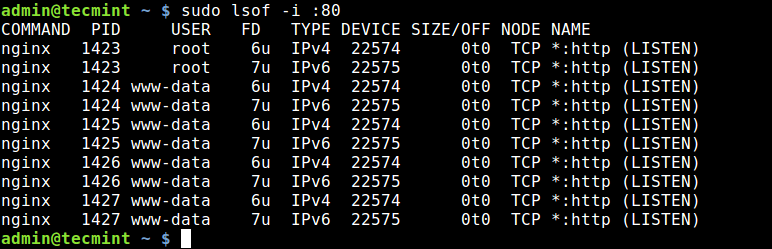 Find Application Using Port