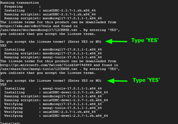 Microsoft SQL Server License