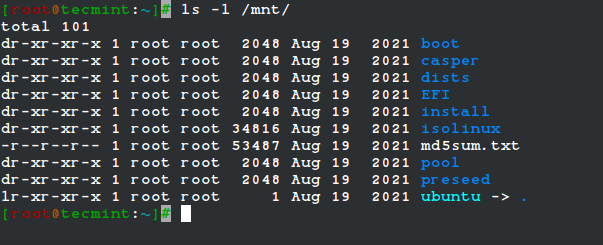 mnt Directory in Linux