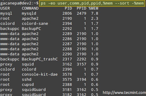 Monitor Linux Processes by Memory Usage