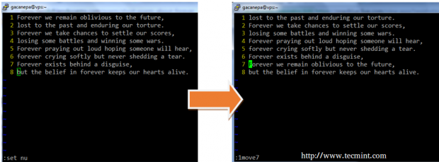 Move Lines in Vim Editor