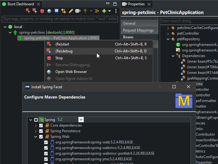 MyEclipse IDE