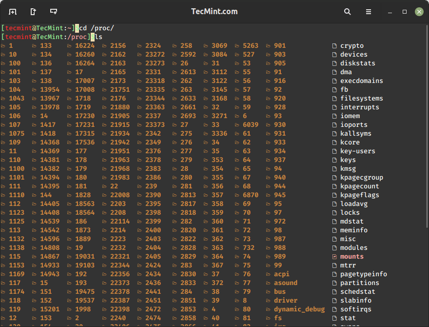 Navigate /proc File System