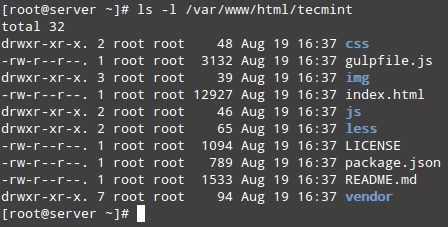 Nginx DocumentRoot Content