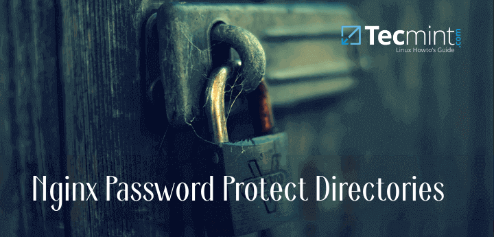 Nginx Password Protect Website