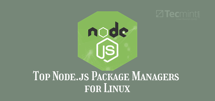 Node.js Package Managers for Linux