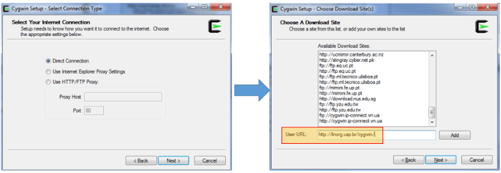 Select Cygwin Connection Type