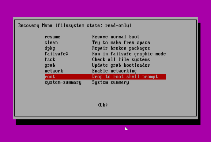 Ubuntu Recovery Menu - Drop to root Shell Prompt