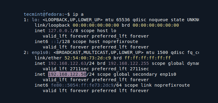 Set Temporary Static IP in Linux