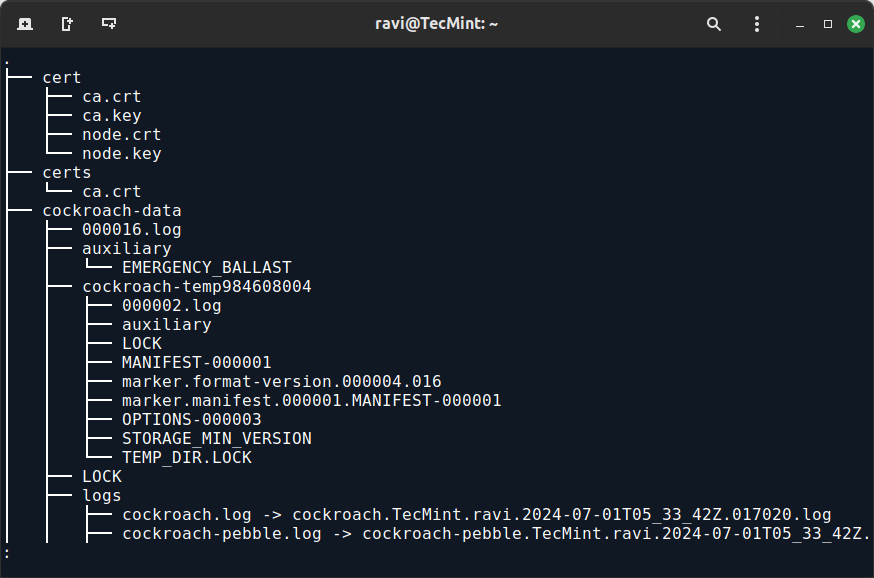 Show Directory Structure