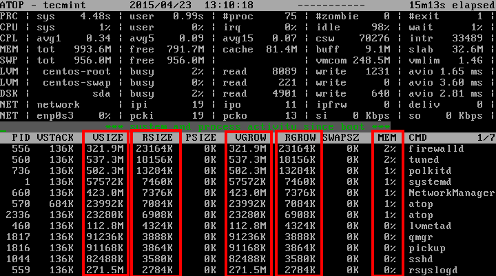 Shows Process Memory Information