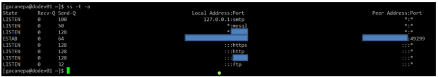 Linux ss Command