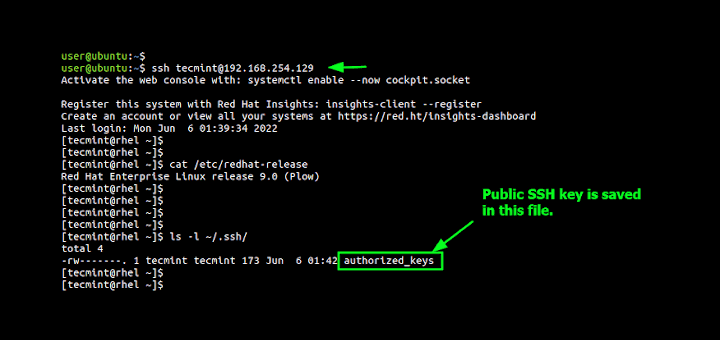 SSH Passwordless Login in RHEL 9