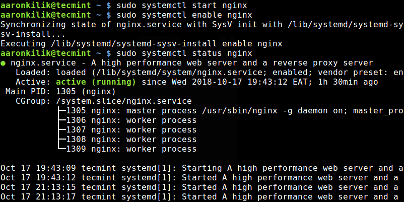 Start and Check Nginx Status