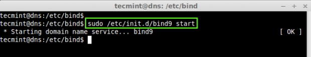 Start DNS Server in Ubuntu