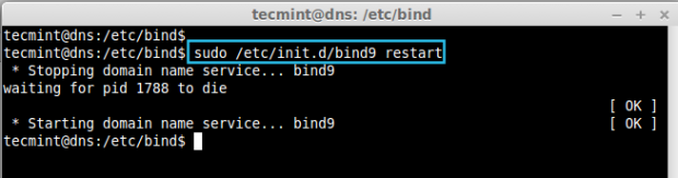 Start DNS Service