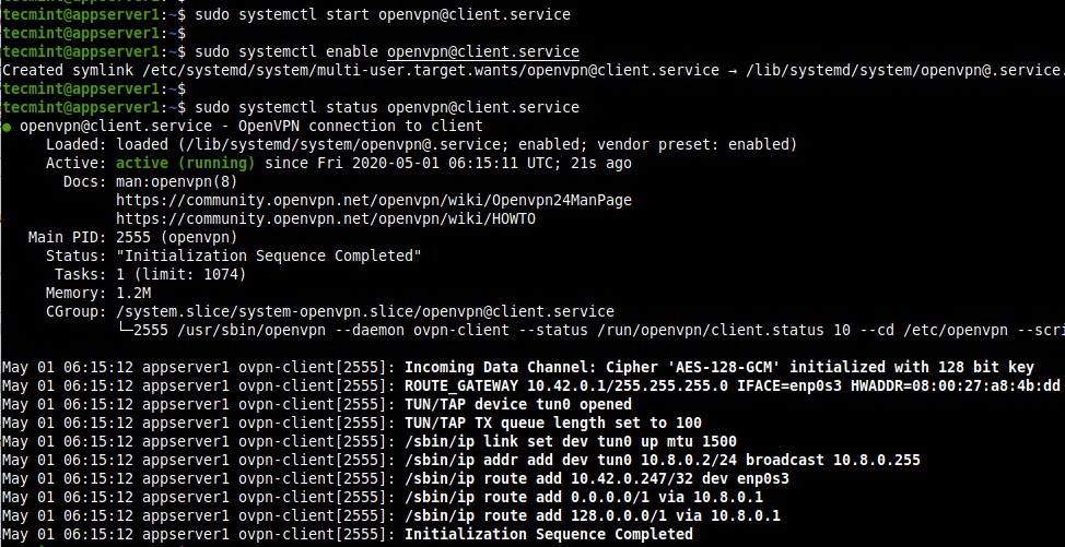 Start OpenVPN Client Service