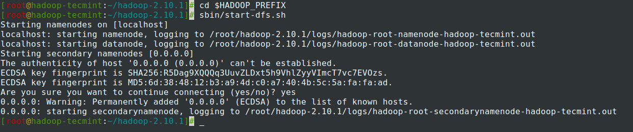 Start NameNode and DataNode Daemon