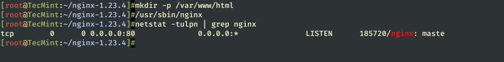 Start Nginx Service