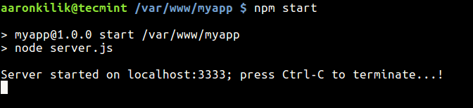 Start Nodejs App Using NPM