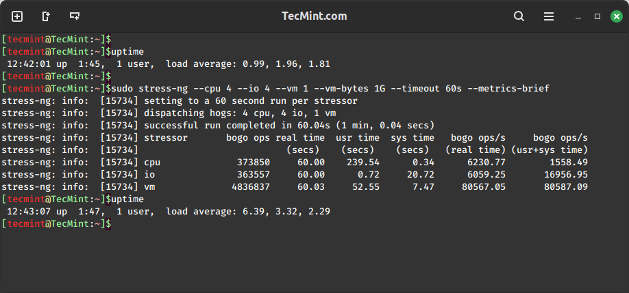 Stress Test: CPU, I/O, and Virtual Memory